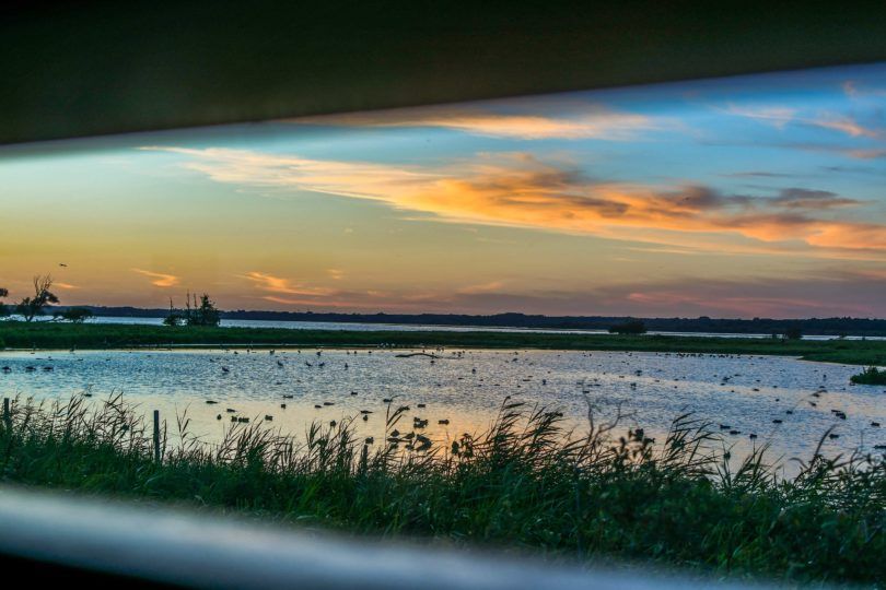 Lac de Grand-Lieu - Nicolas Louerat