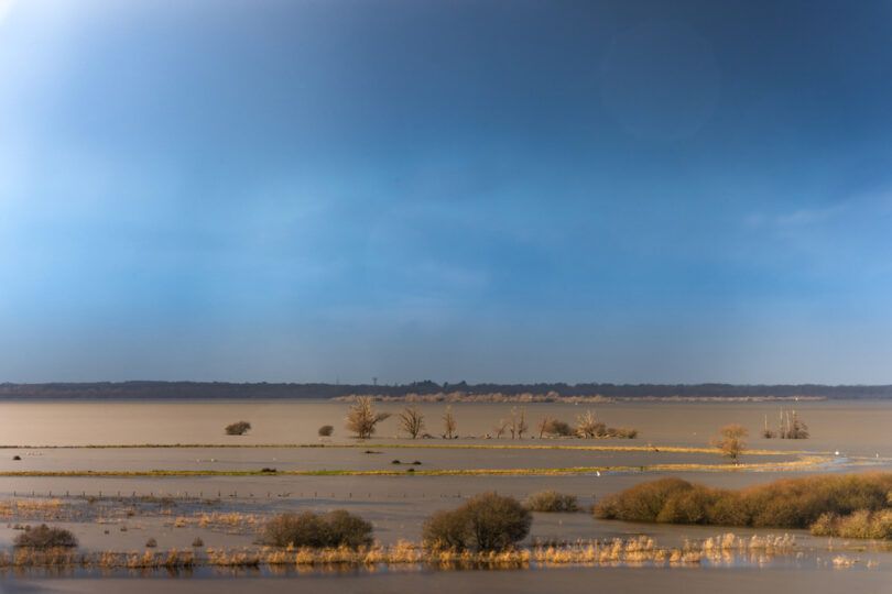 hiver lac de Grand Lieu